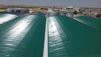Bodega en Corral de Almaguer (Toledo).<br> Montaje de cubiertas. Chapa curva
